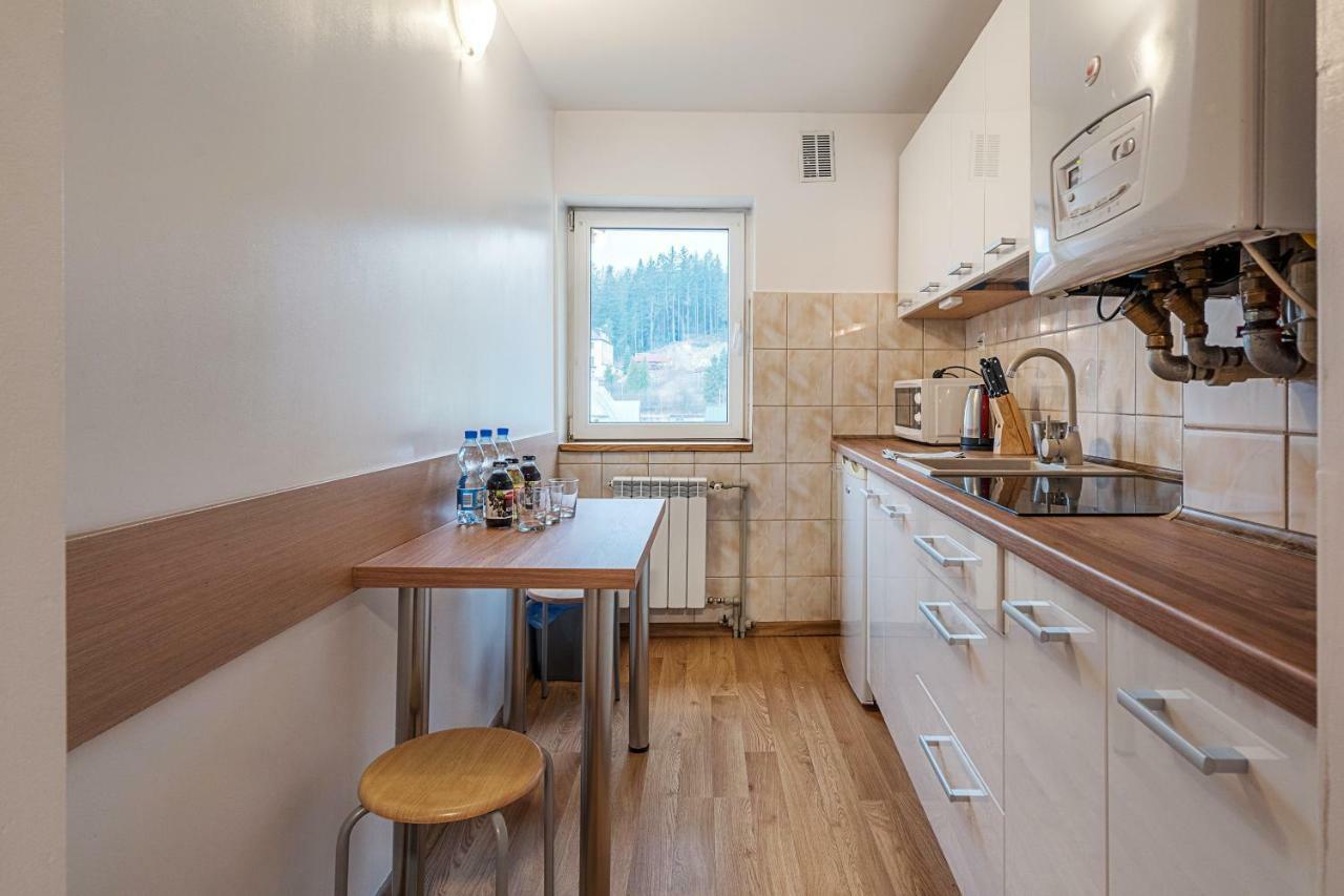 Apartament City Center Grand Family Krynica-Zdrój Kültér fotó